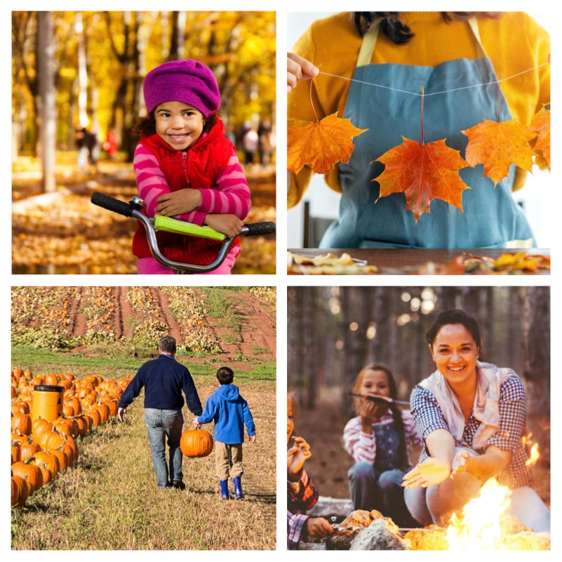 Fun Fall Activities