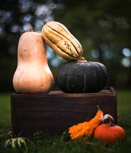 FUN Autumn Activities, Relax, Enjoy