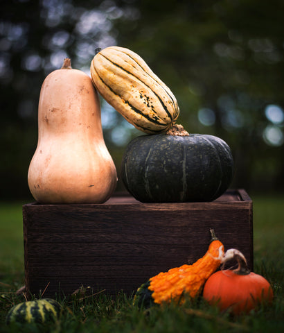 FUN Autumn Activities, Relax, Enjoy